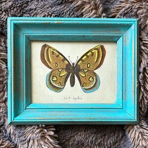 Framed butterfly wall art